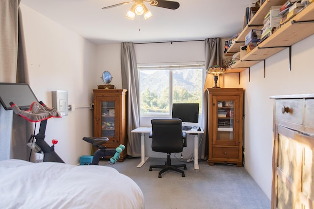 bedroom featuring carpet floors