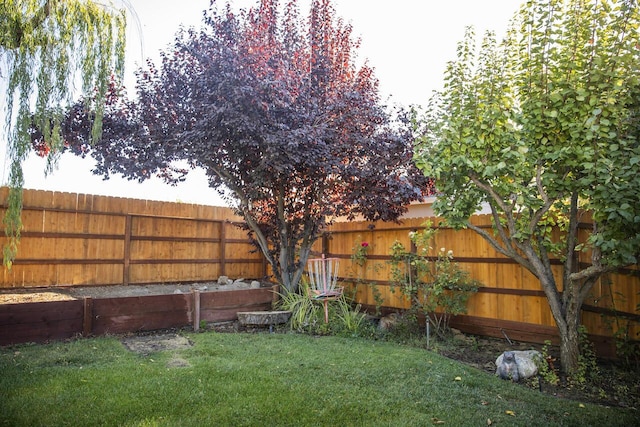 view of yard featuring a fenced backyard