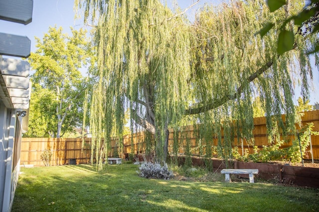 view of yard featuring a fenced backyard