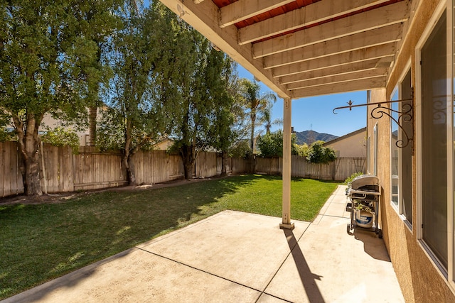 view of patio / terrace with a fenced backyard and area for grilling