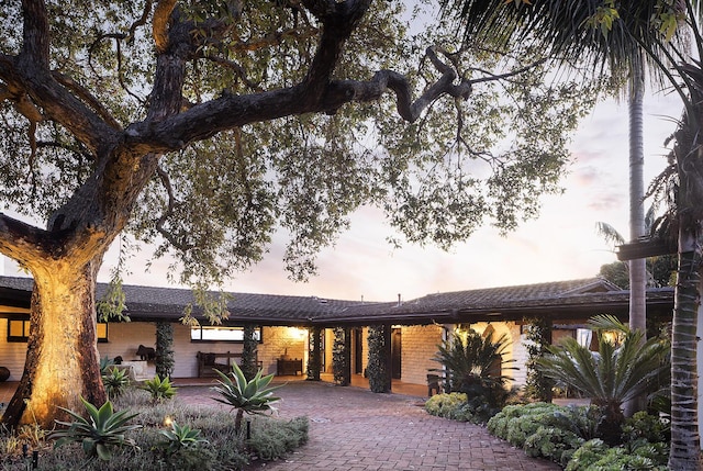 view of back of house at dusk