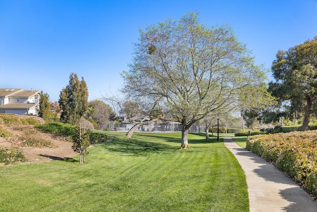 view of home's community featuring a lawn