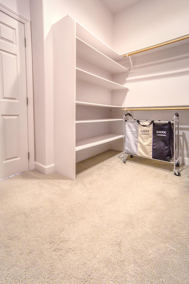 spacious closet with carpet