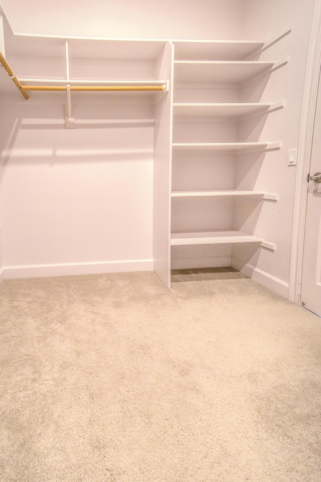 spacious closet with carpet floors