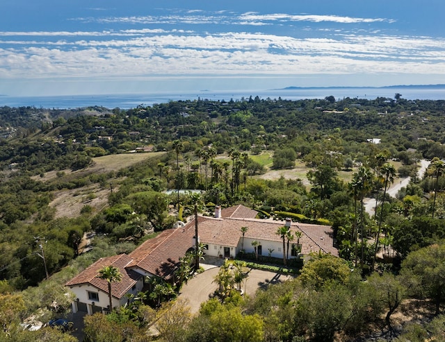 drone / aerial view featuring a water view