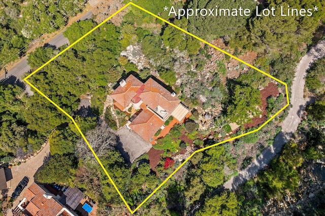 drone / aerial view