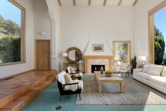 living room with a high ceiling, a fireplace, and a wealth of natural light