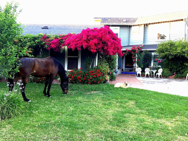 view of front of home featuring a front yard