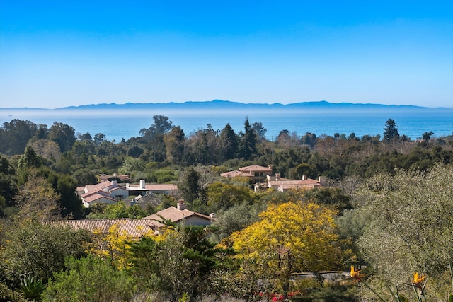 drone / aerial view with a wooded view and a mountain view