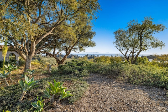 view of yard featuring a water view