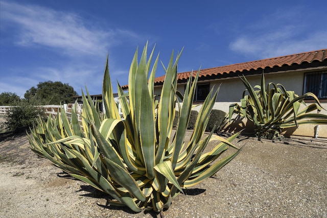 details with a tiled roof and stucco siding