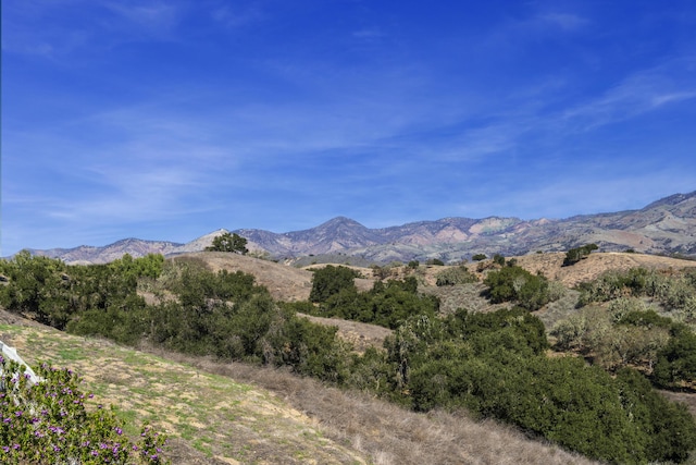 view of mountain feature