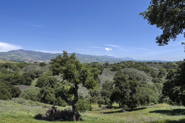 3776 Live Oak Rd, Santa Ynez, CA 93460 - property view of mountains with a forest view