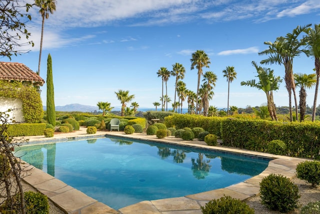 outdoor pool with a mountain view