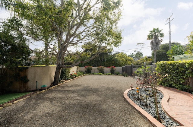 view of yard with a patio area and a fenced backyard