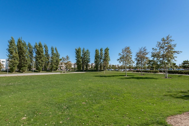 view of home's community featuring a yard