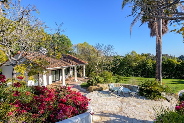 view of yard featuring a patio and covered porch