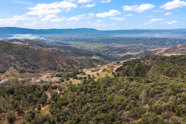 view of mountain feature with a forest view