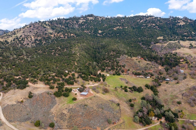 drone / aerial view featuring a mountain view