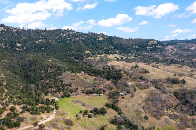 view of mountain feature