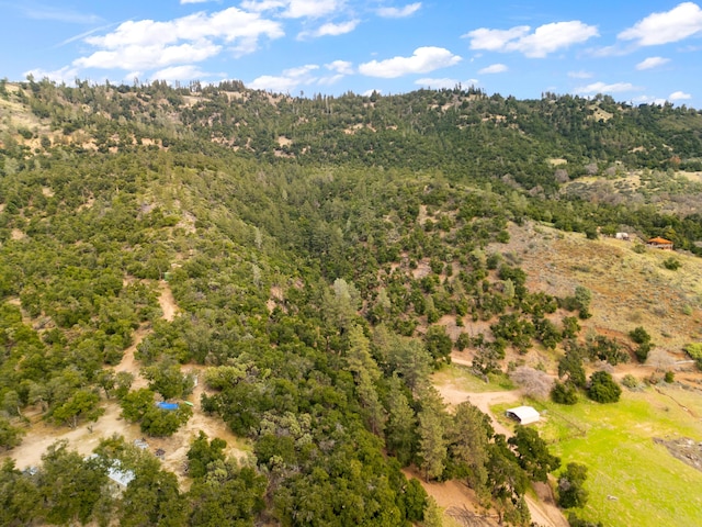 bird's eye view featuring a wooded view