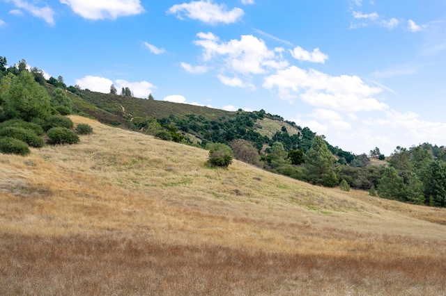 view of nature featuring a mountain view