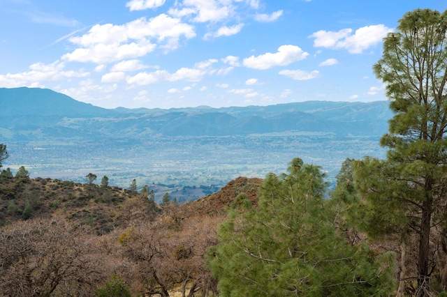 view of mountain feature