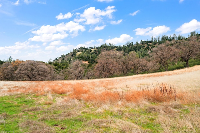 view of landscape with a wooded view