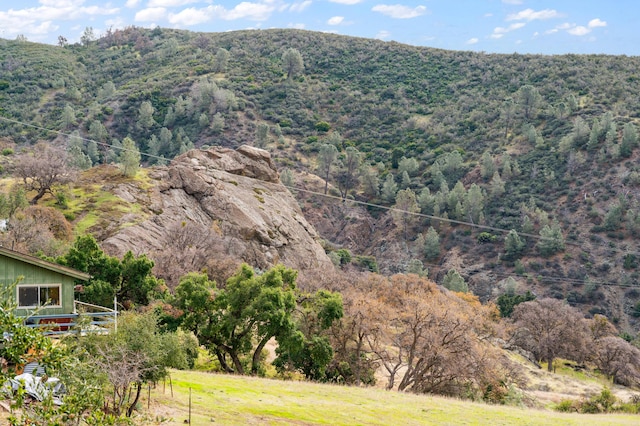 mountain view with a view of trees