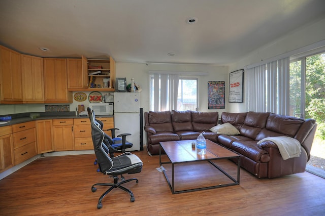 living room featuring wood finished floors and recessed lighting