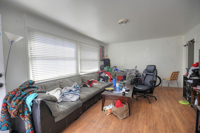 living room with wood finished floors