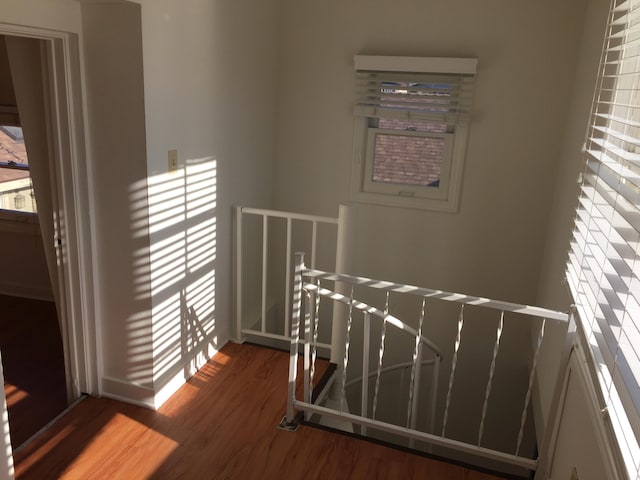 staircase featuring wood finished floors