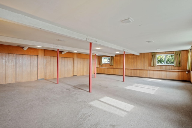 basement with wooden walls and carpet floors