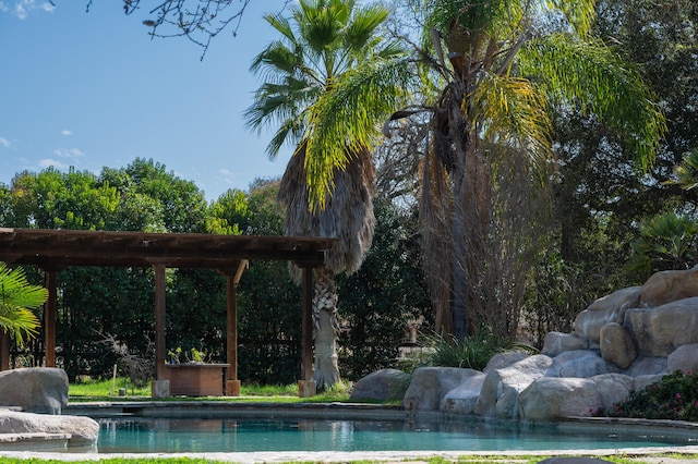 view of swimming pool