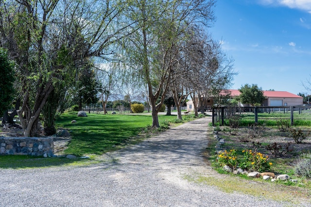 view of road featuring gravel driveway