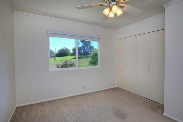 unfurnished bedroom with a closet, ceiling fan, carpet, and ornamental molding