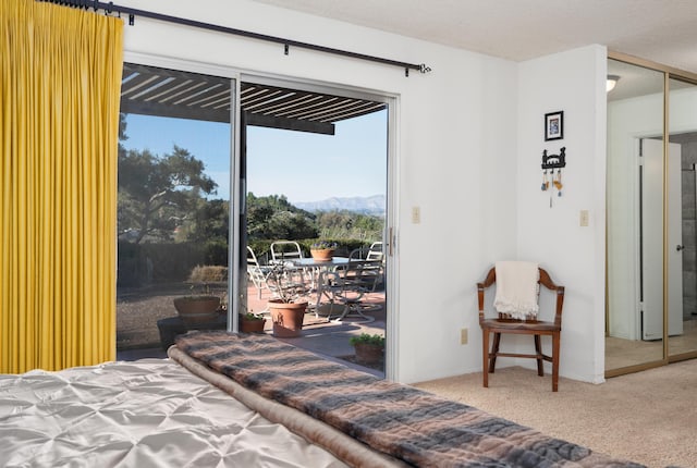 bedroom with access to exterior, a closet, carpet flooring, a mountain view, and a textured ceiling