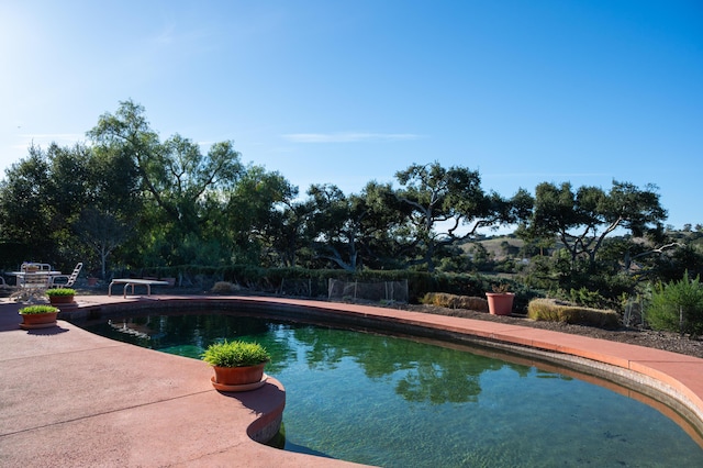 pool featuring a patio and fence