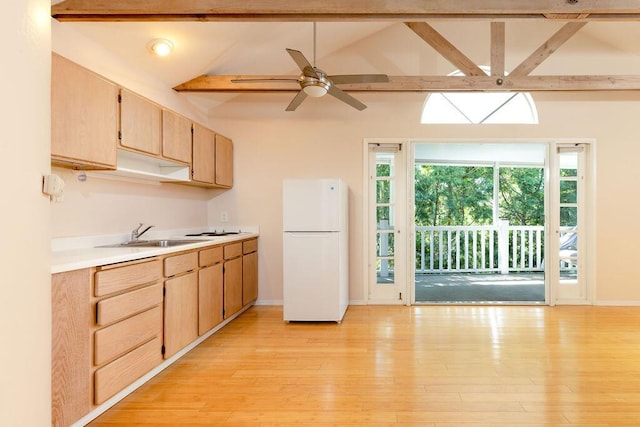 kitchen featuring a sink, a healthy amount of sunlight, light countertops, and freestanding refrigerator