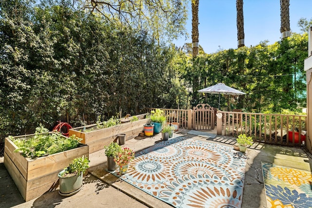 view of patio / terrace with a vegetable garden