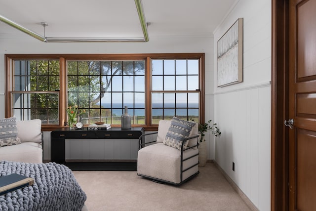 sunroom / solarium featuring plenty of natural light