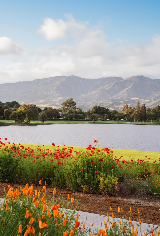 property view of water featuring a mountain view