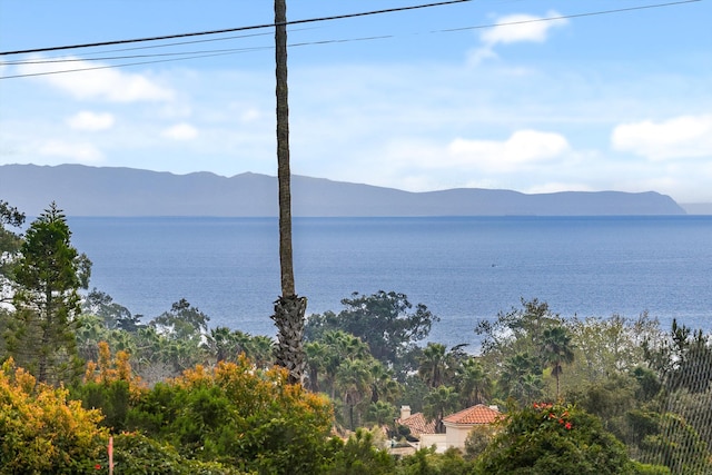 view of water feature featuring a mountain view