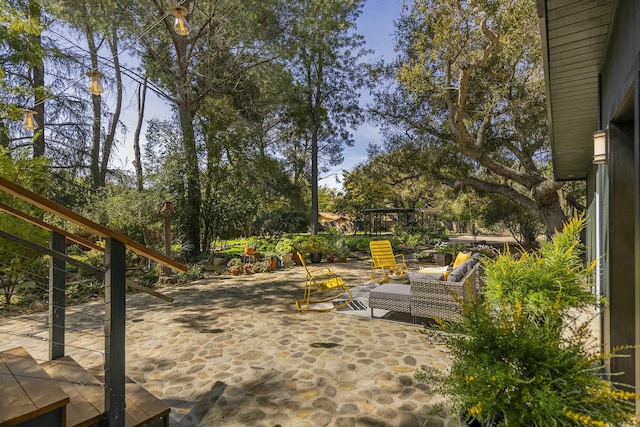 view of yard featuring a patio area