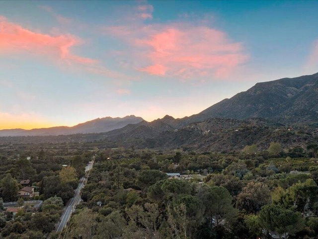 mountain view with a forest view