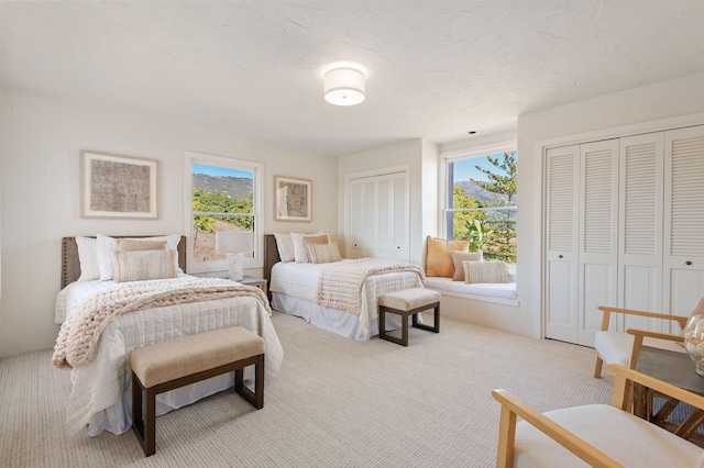 bedroom with multiple windows, multiple closets, and carpet flooring