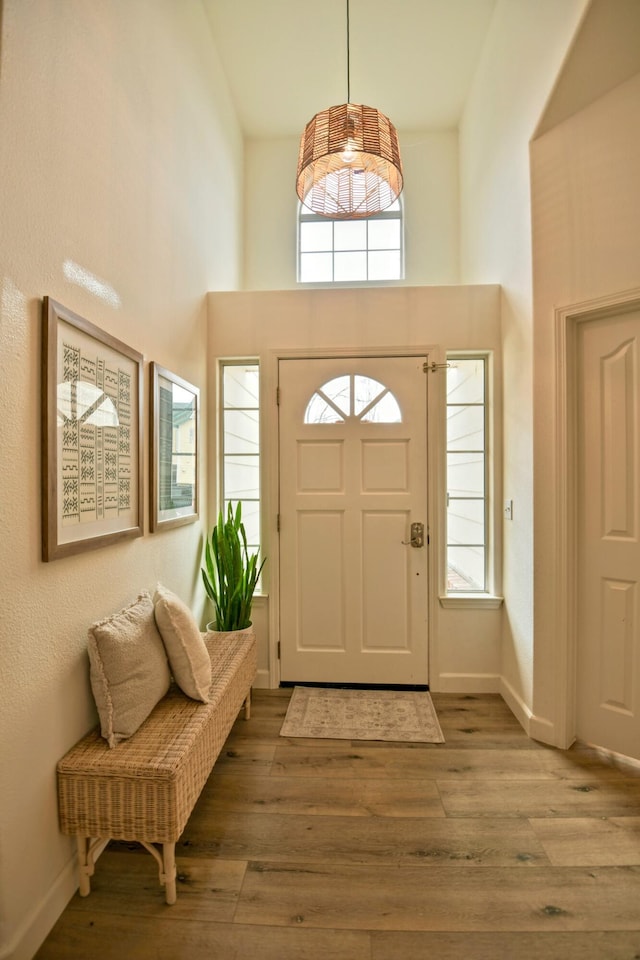 entryway featuring plenty of natural light, wood finished floors, and baseboards