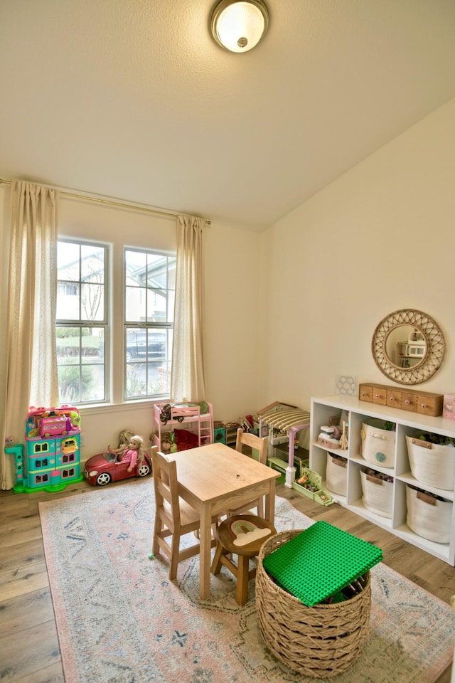 playroom with wood finished floors