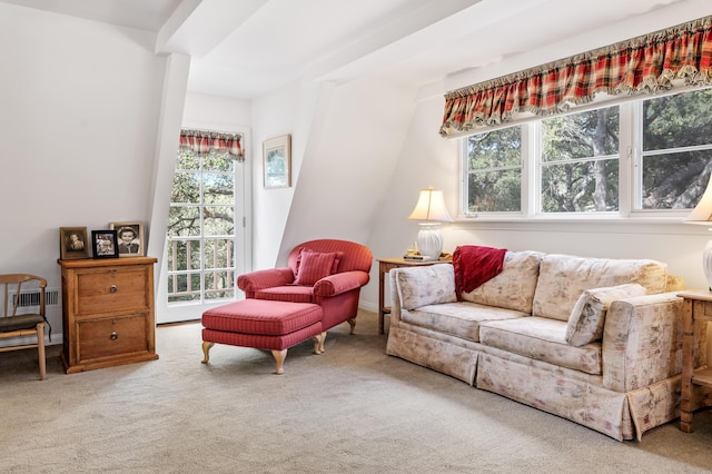 carpeted living area with plenty of natural light and radiator