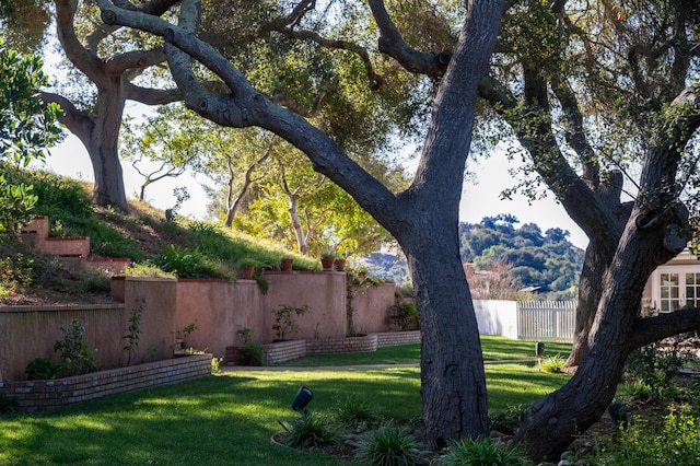 view of yard with fence